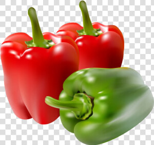 Paprika Red Green Realistic Meshfill Art Meshfill Art   Red Green Bell Pepper Transparent  HD Png Download