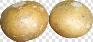 Jicama   Jicama Png Transparent  Png Download