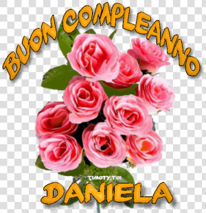 Buon Compleanno Daniela  HD Png Download