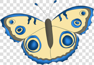 Blue And Beige Butterfly Drawing   Aglais Io  HD Png Download