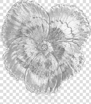 Buccellati   Bowls   Pansy   Bowls   Sketch  HD Png Download