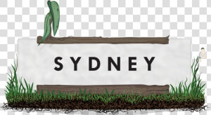 Sydney Grass Landscape   Sweet Grass  HD Png Download