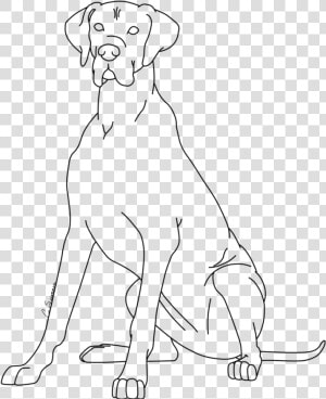 Great Dane Coloring Page   Line Art  HD Png Download