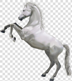 Horse White Clip Art   White Horse Png  Transparent Png