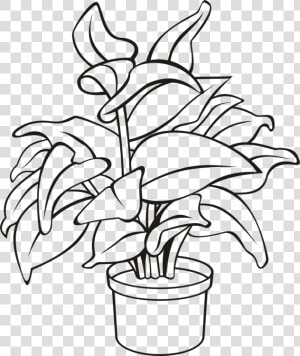 Flowerpot Houseplant Plants Leaf Cc0   Potted Plant Line Drawing  HD Png Download