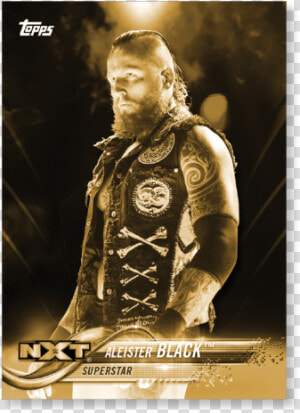 2018 Topps Wwe Aleister Black Base Poster Gold Ed   Wwe Nxt  HD Png Download