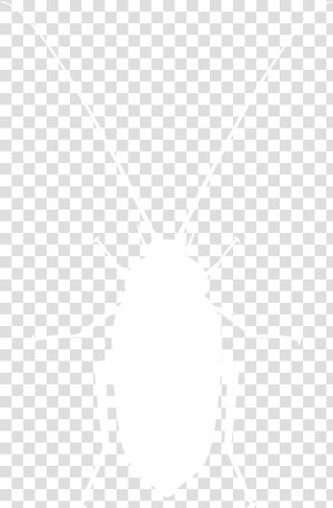 Roaches white   High Resolution Suits Png  Transparent Png