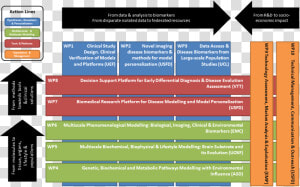 New Clinical Model Work Plan  HD Png Download