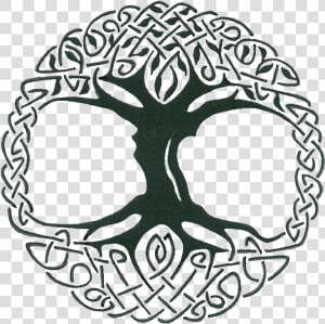 Knot Celts Sacred Trees   Celtic Tree Of Life Vector  HD Png Download