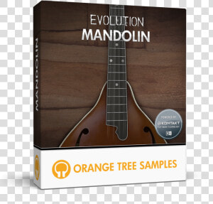 Orange Tree Samples   Orange Tree Samples Evolution Sitardelic  HD Png Download