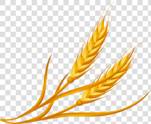 Wheat Clipart Png Image Free Download Searchpng   Cartoon Wheat Png  Transparent Png