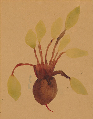 Beets Png  Transparent Png