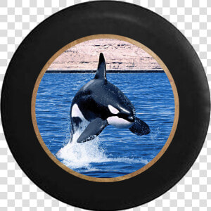 Killer Whale Orca Jumping In The Ocean Rv Camper Spare   Orca  HD Png Download