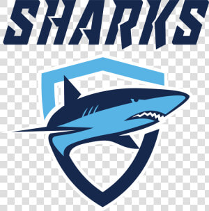 Sharks Swim Club   Sharks Swimming Club  HD Png Download