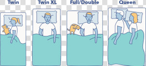 Queen Size Bed Dimensions   Queen Vs Full Size  HD Png Download