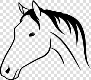 Bra Animal Horse Head   Horse Head Drawing Png  Transparent Png