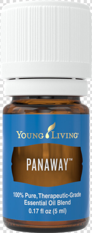 Panaway Is An Essential Oil For Prepping   Panaway Young Living Png  Transparent Png