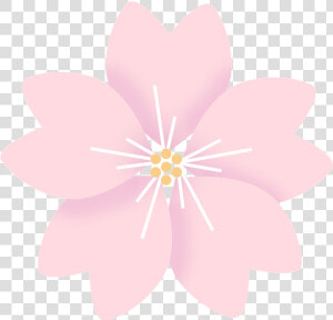 Flowers Cherry Blossom Sakura Free Picture   Sakura Flor De Cerezo Png  Transparent Png