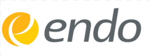 Endo Pharmaceuticals Logo Png  Transparent Png