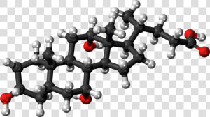 Molecular Structure Png Clipart   Cholic Acid 3d Structure  Transparent Png