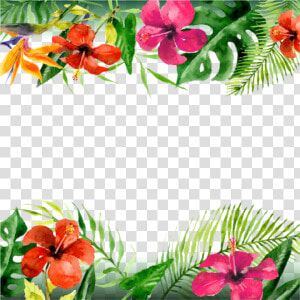  mq  flowers  flower  tropical  border  borders   Tropical Flowers Border Png  Transparent Png