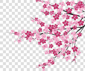 Cherry Blossoms Png   Cherry Blossom Tree Clipart Png  Transparent Png