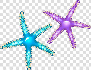 Starfish Euclidean Vector Seashell   Purple And Blue Starfish Png  Transparent Png