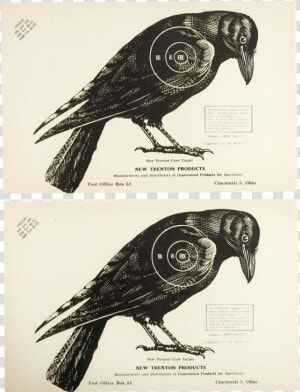 1960s Vintage Crow Raven Paper Targets  HD Png Download