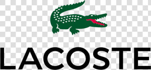 Cocodrilo lacoste   Logo Lacoste  HD Png Download