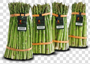 Desert Farms Asparagus  HD Png Download