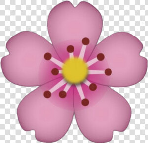  flower  emoji  emoticon  sticker  tumblr  new  pink   Transparent Flower Emoji Png  Png Download