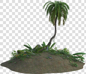 Tropical  Sand  3d  Tree  Palm  Plants  Flowers  Nature   Palmeira De Deserto Png  Transparent Png