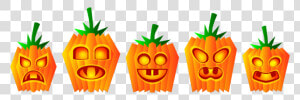 Selection Of Halloween Pumpkin Vector Illustration   Carved Pumpkins Clipart  HD Png Download