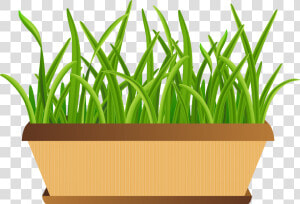 Flowerpot With Grass Transparent Png Clip Art Imageu200b   Flower Pot Png Clipart  Png Download