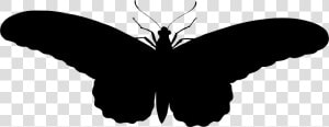 Butterfly Silhouette Clip Art   รูป ผีเสื้อ ขาว ดํา  HD Png Download