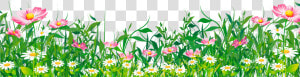 Flowers Grass Clipart   Grass With Flowers Png  Transparent Png