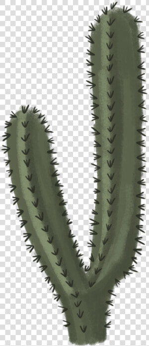 Cactus Png File   Transparent Background Cactus Png  Png Download