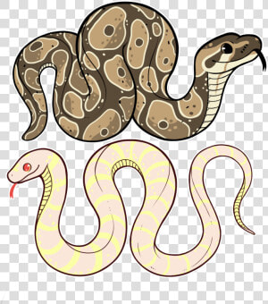 Transparent Snake Cartoon Png   Adorable Cute Snake Drawing  Png Download