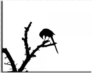 Desktop Wallpaper Image Quran Silhouette   Mockingbird  HD Png Download