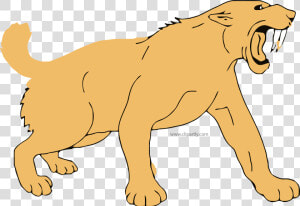 Transparent Saber Tooth Tiger Png   Clip Art Saber Tooth Tiger  Png Download