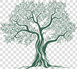 Olive Tree Logo Png   Png Download   Olive Tree Logo Png  Transparent Png