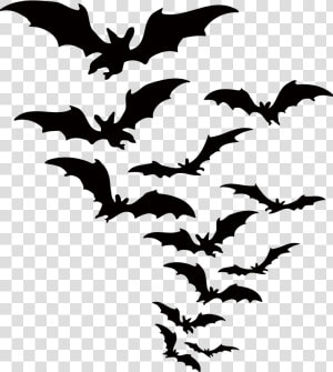 Bat Vector Halloween Download Hd Png Clipart   Bats Png  Transparent Png