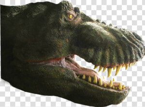 Asset 8dino7   Tyrannosaurus  HD Png Download