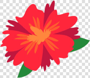 Hibiscus Flower Vector Png   Dianthus  Transparent Png