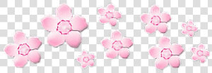  flower  crown  pink  soft  pinkaesthetic  transparent   Pink Aesthetic Transparent Png  Png Download