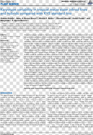 Coronary Revascularisation Outcome Questionnaire  HD Png Download