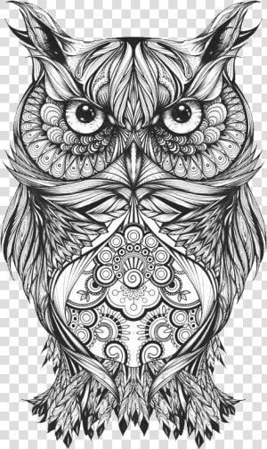 Body Owl Sketch Art Tattoo Drawing Clipart   Owl Drawing Tattoo  HD Png Download