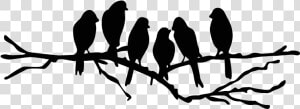 Lovebird Wall Decal Branch Stencil   Bird Branch Silhouette Png  Transparent Png