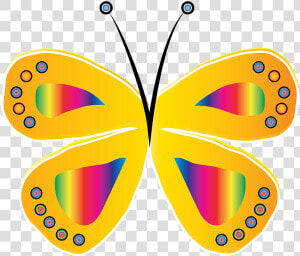 Butterfly  Yellow  Circle  Bright  Design  Insect   Borboleta Amarela E Rosa  HD Png Download