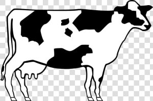 Cow  Livestock  Cattle  Farm  Animal  Beef  Dairy   Simple Cow Clip Art  HD Png Download